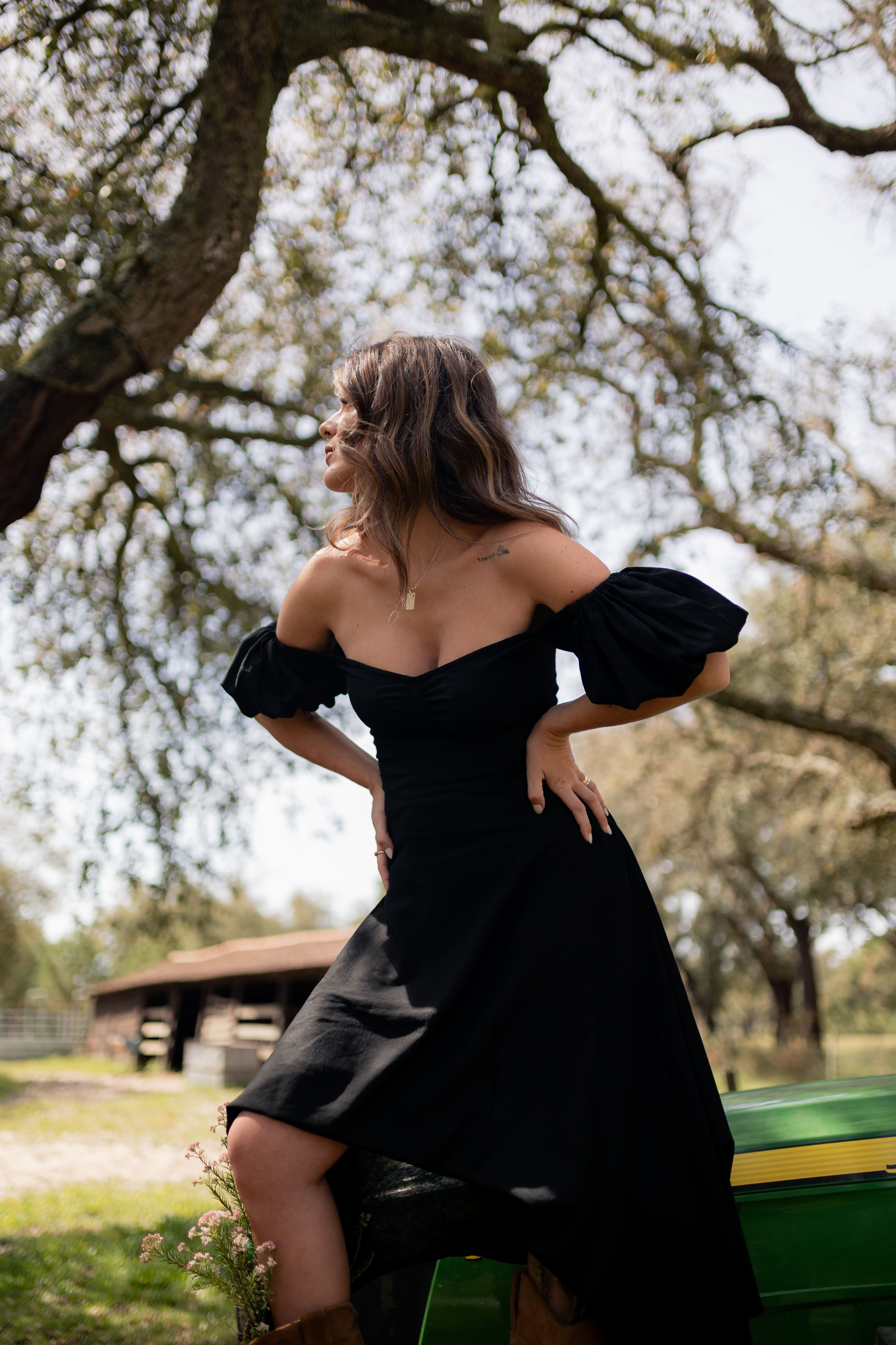 Vestido Sophia